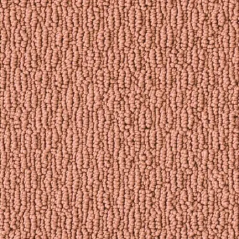 Vorwerk Constance 1Q13 orange – Draufsicht ohne Preisangabe